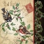 Picture of CHRISTMAS BIRD POSTCARD II