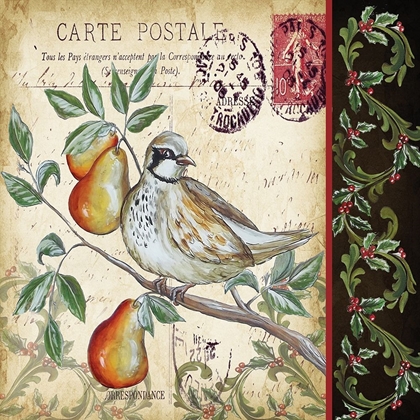 Picture of CHRISTMAS BIRD POSTCARD IV