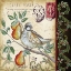 Picture of CHRISTMAS BIRD POSTCARD IV