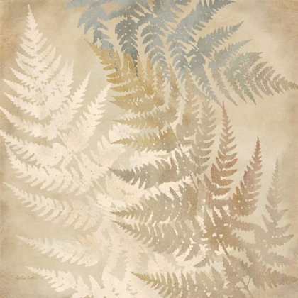 Picture of MAJESTIC FERNS II
