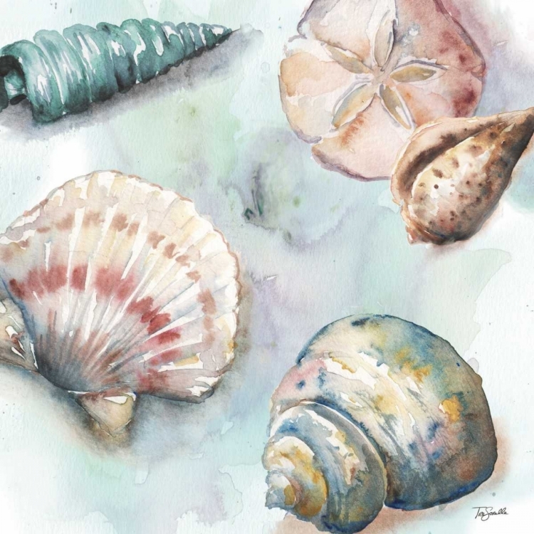 Picture of WATERCOLOR SHELL TOSS I