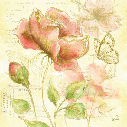 Picture of WATERCOLOR FLOWER SKETCH BLUSH I