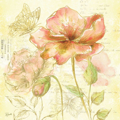Picture of WATERCOLOR FLOWER SKETCH BLUSH II