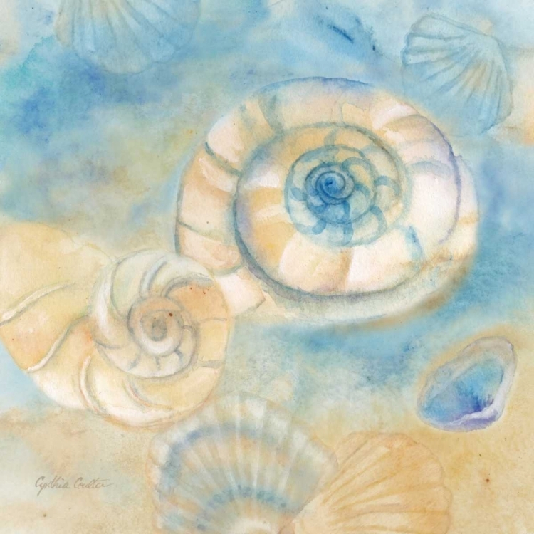 Picture of WATERCOLOR SHELLS I