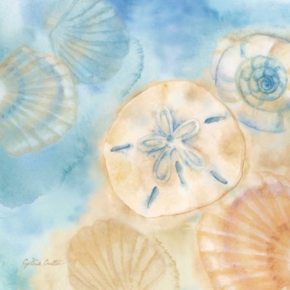 Picture of WATERCOLOR SHELLS III