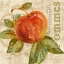 Picture of RUSTIC FRUIT I