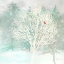 Picture of WINTER WONDER II