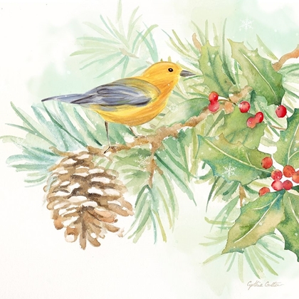 Picture of WINTER BIRDS I WARBLER