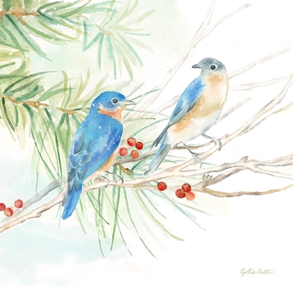 Picture of WINTER BIRDS III BLUEBIRDS
