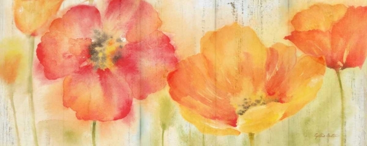 Picture of POPPY MEADOW SPICE WOODGRAIN PANEL