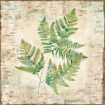 Picture of BIRCH BARK FERNS I