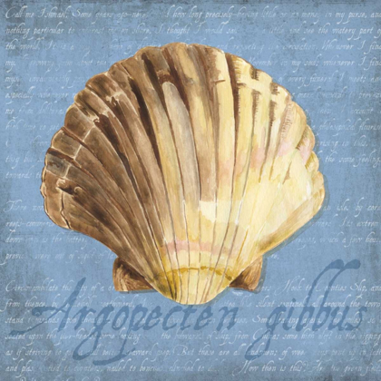 Picture of OCEANUM SHELLS BLUE V