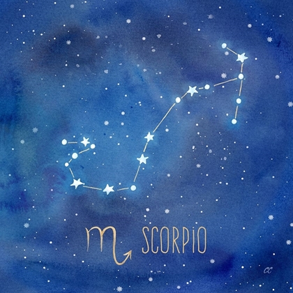 Picture of STAR SIGN SCORPIO