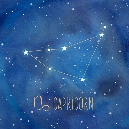 Picture of STAR SIGN CAPRICORN