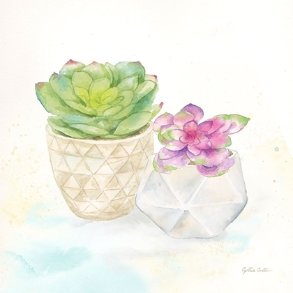 Picture of SWEET SUCCULENT POTS III