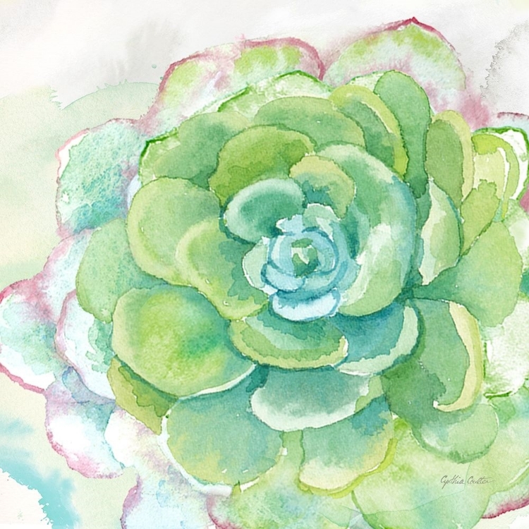 Picture of SWEET SUCCULENTS IV