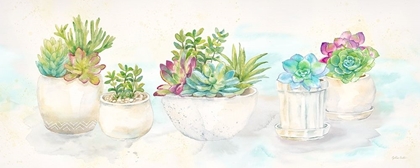 Picture of SWEET SUCCULENTS PANEL