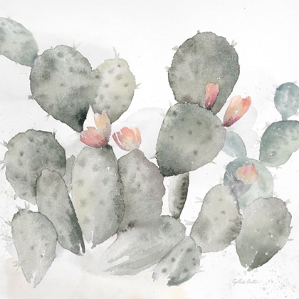 Picture of CACTUS GARDEN GRAY BLUSH I