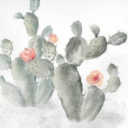 Picture of CACTUS GARDEN GRAY BLUSH III
