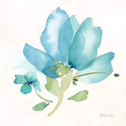 Picture of BLUE POPPY FIELD SINGLE II