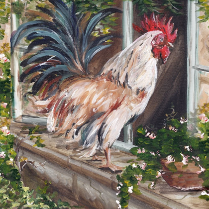 Picture of FRENCH COUNTRY ROOSTER