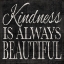 Picture of KINDNESS AND JOY SIGNS I 