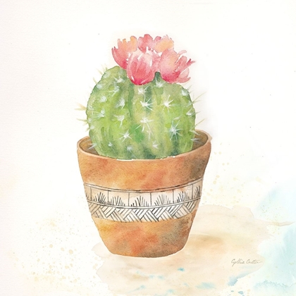 Picture of CACTUS POTS IV