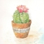 Picture of CACTUS POTS IV