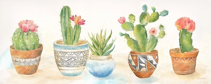 Picture of CACTUS POTS 