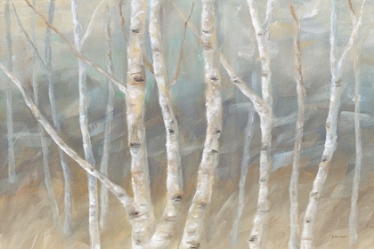 Picture of SILVER BIRCH LANDSCAPE