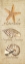 Picture of OCEANUM SHELL PANEL BEIGE II
