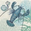 Picture of OCEANA INDIGO SEA LIFE I