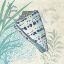 Picture of OCEANA INDIGO SHELLS I