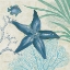 Picture of OCEANA INDIGO SHELLS IV