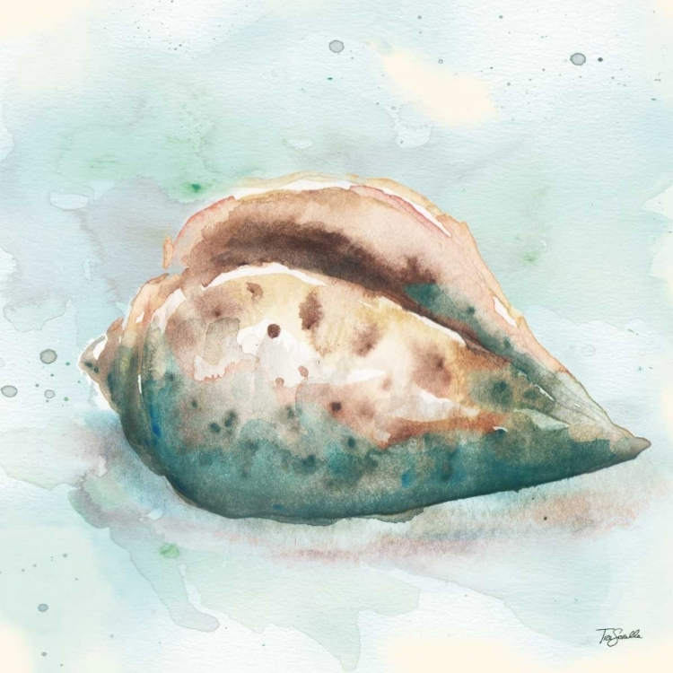 Picture of WATERCOLOR SHELLS I