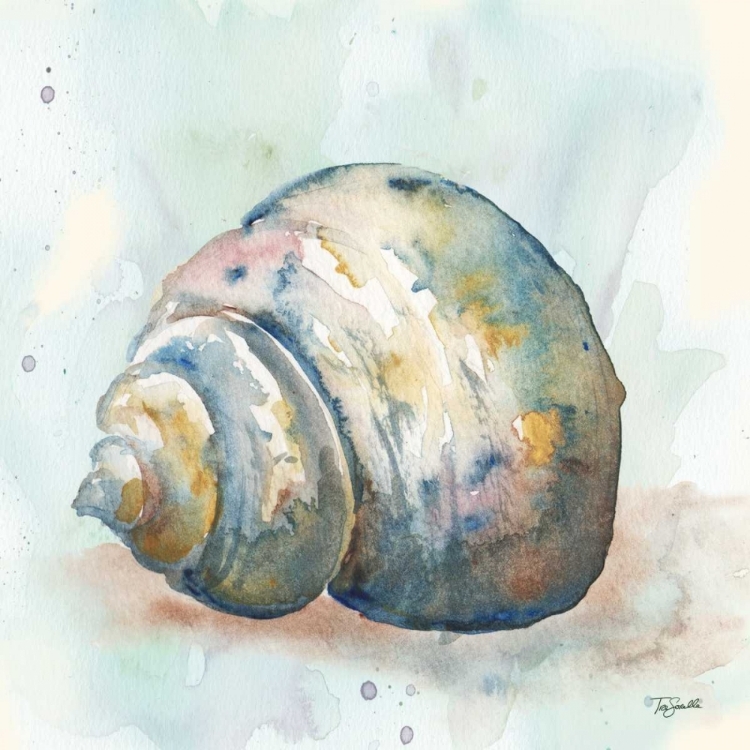 Picture of WATERCOLOR SHELLS IV