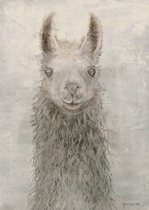 Picture of LLAMA PORTRAIT