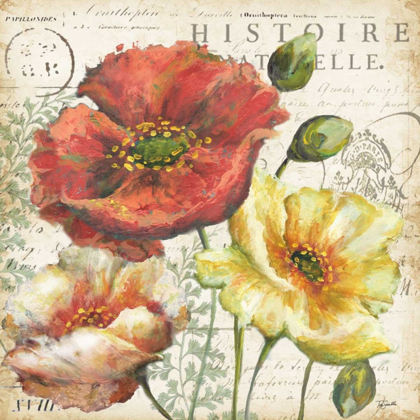 Picture of SPICE POPPIES HISTOIRE NATURELLE I