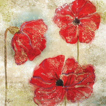 Picture of POPPY PASSION II
