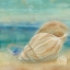 Picture of HORIZON SHELLS II 