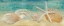 Picture of HORIZON SHELLS PANEL I 
