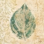 Picture of LEAF  SCROLL I 