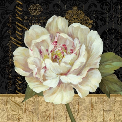 Picture of ANTIQUE STILL LIFE PEONY