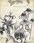 Picture of PEN AND INK FLORAL STUDY III 