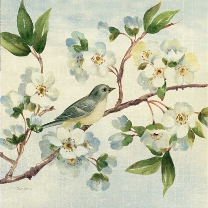 Picture of CHERRY BLOOM BIRD II