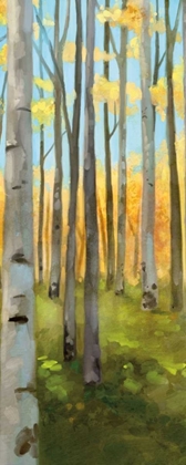 Picture of BIRCH WOODS PANEL I 