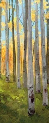 Picture of BIRCH WOODS PANEL II