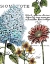 Picture of BOTANICAL POSTCARD COLOR I