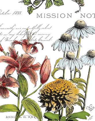 Picture of BOTANICAL POSTCARD COLOR II