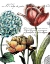 Picture of BOTANICAL POSTCARD COLOR IV